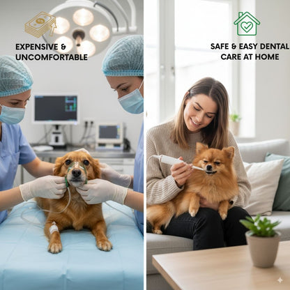 Freshsmile Kit - Safe Dental Care From Home