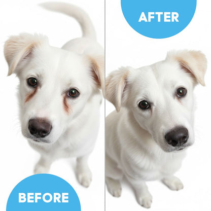 Kit EyeWipes – Protege contra problemas oculares.