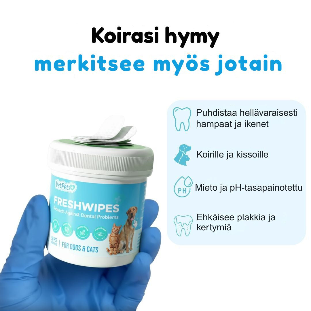 FreshWipes Kit – Suojaa hammassairauksilta
