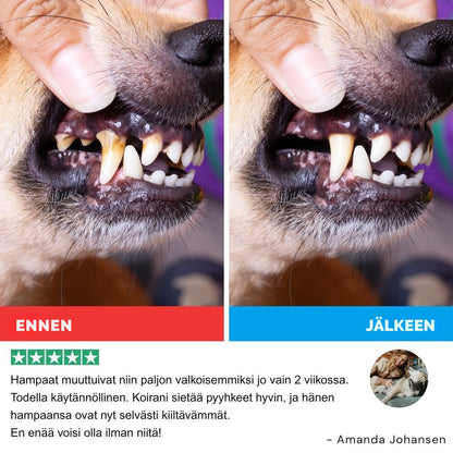 FreshWipes Kit – Suojaa hammassairauksilta