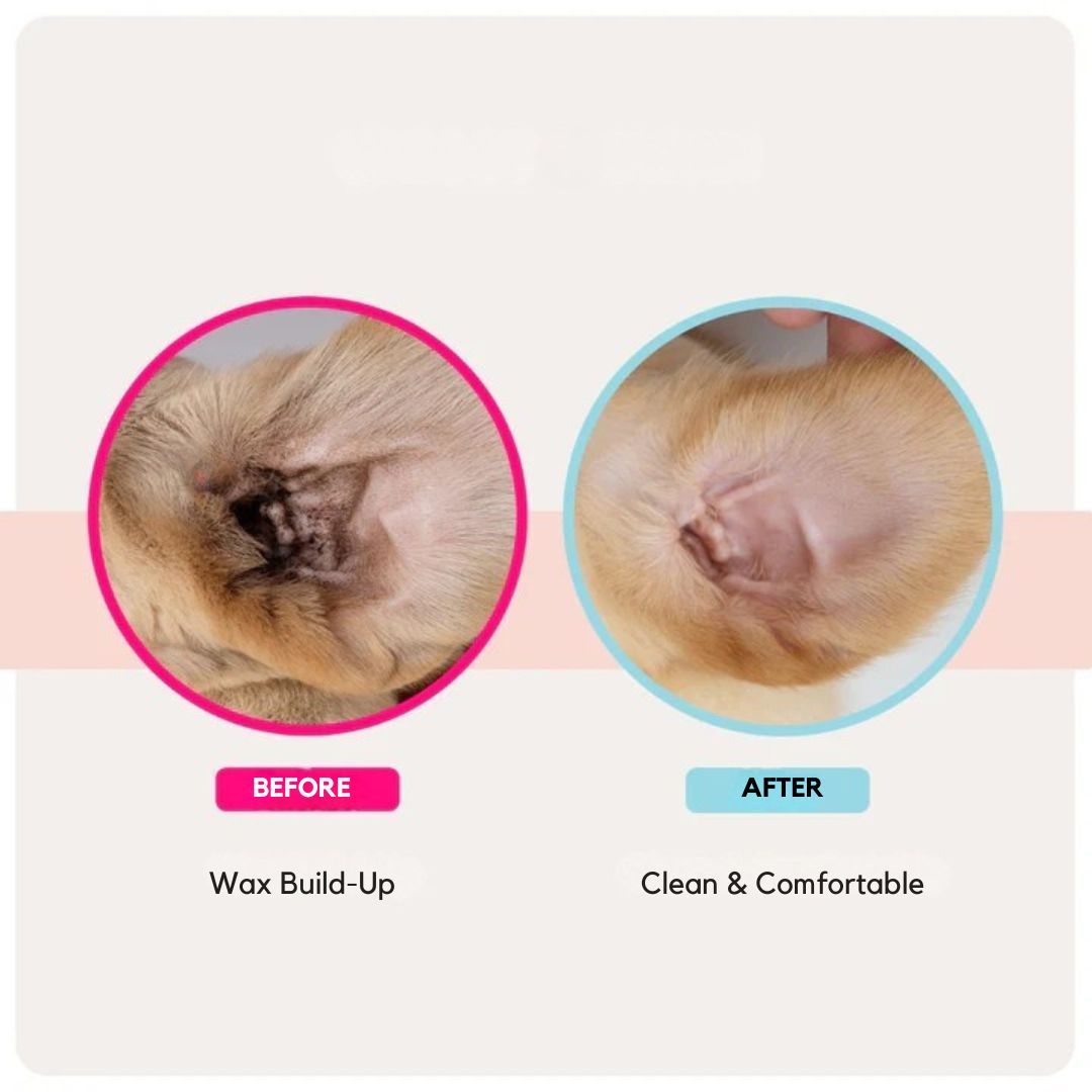 EarWipes Kit - Protects against ear problems.