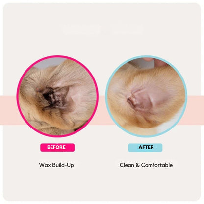 EarWipes Kit - Protects against ear problems.