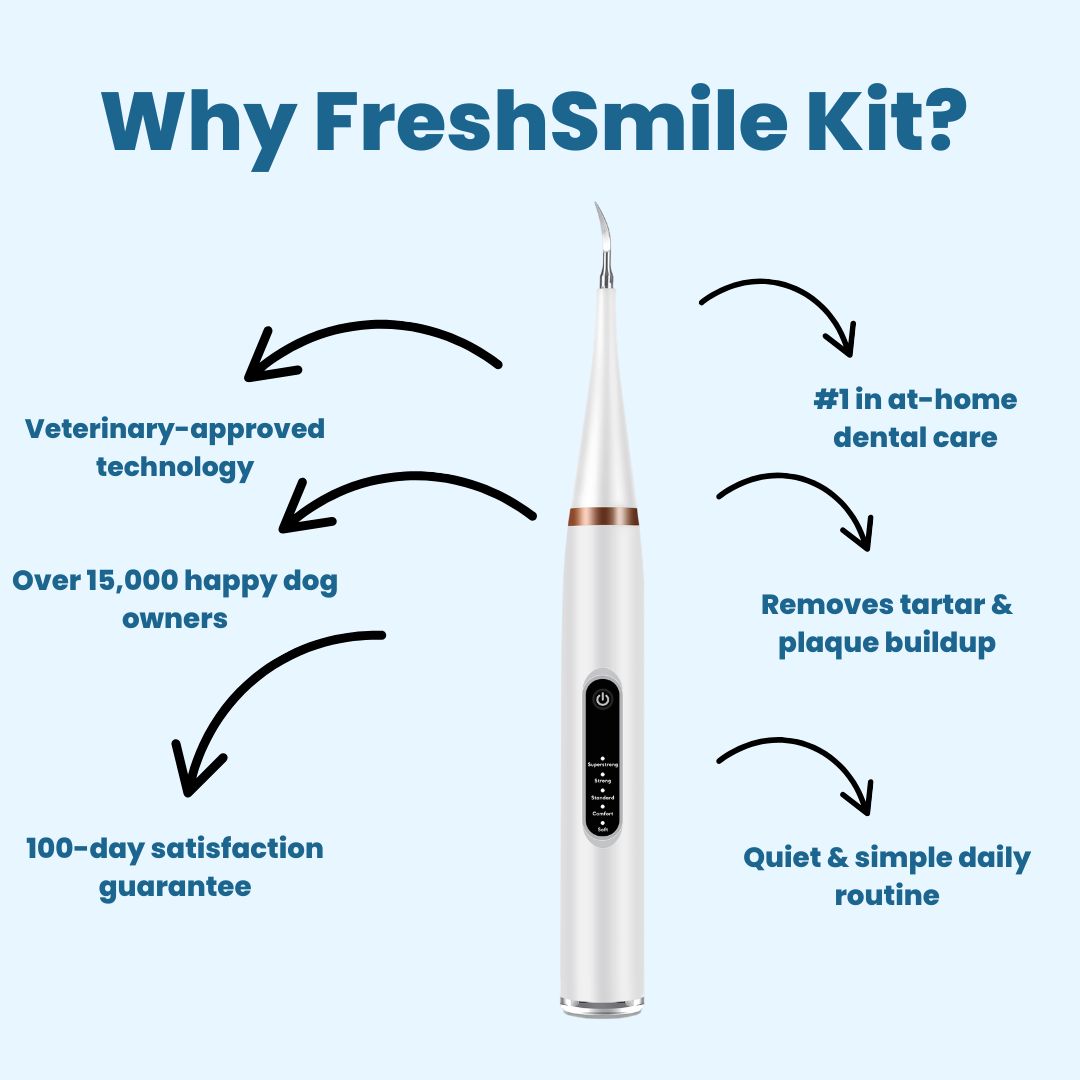 FreshSmile 3 in 1 Kit - Safe Tartar Remover