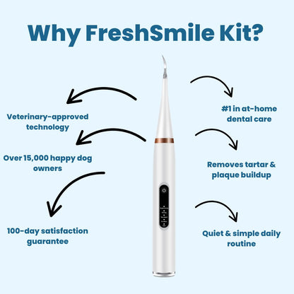FreshSmile 3 in 1 Kit - Safe Tartar Remover