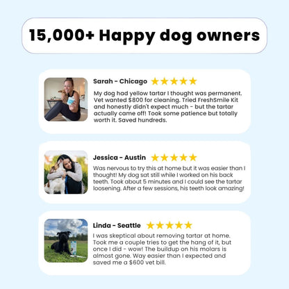 FreshSmile 3 in 1 Kit - Safe Tartar Remover