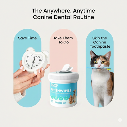 FreshWipe Kit Cats - Protects Against Dental Problems