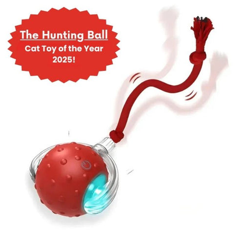 The Hunting Ball – Hours of Entertainment & Exercise