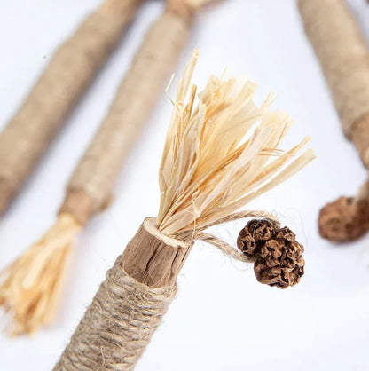 CatStick – Healthy cat teeth and fun play