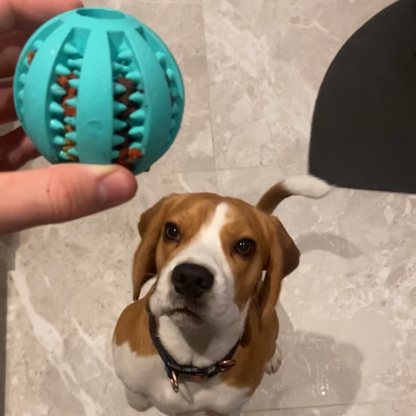 DentalChew Ball™ - Stress-free dental care