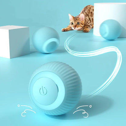 LuckyBall – The Smart Pet Toy