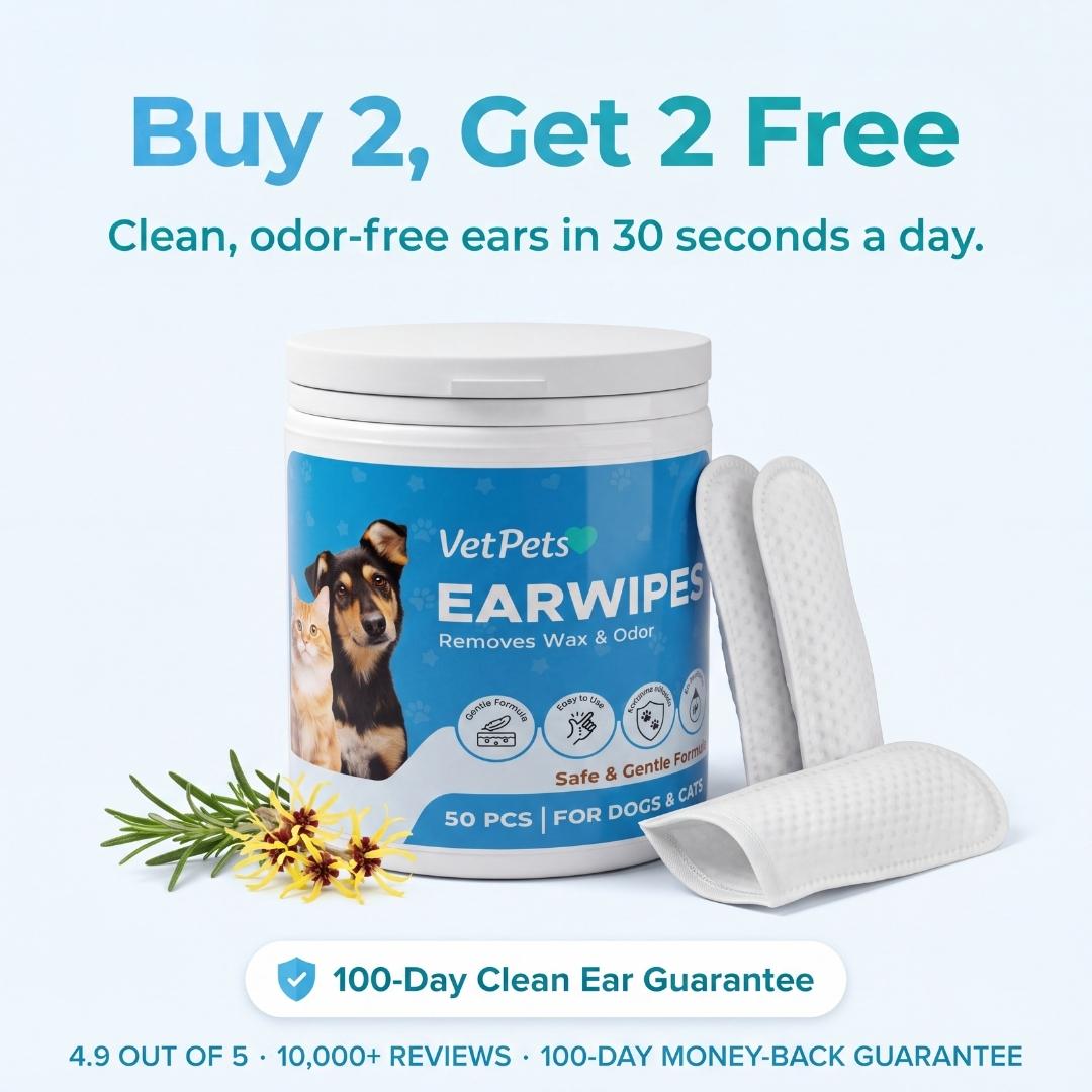 EarWipes Kit - Protects against ear problems