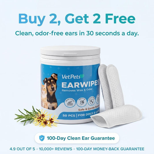 EarWipes Kit - Protects against ear problems