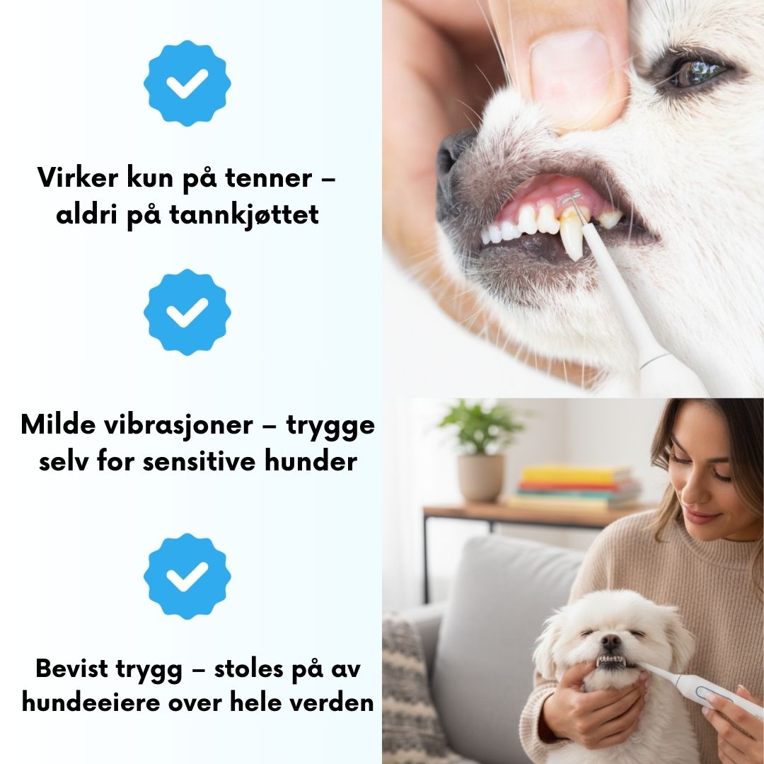 Freshsmile Kit - Trygg Tannpleie Hjemmefra