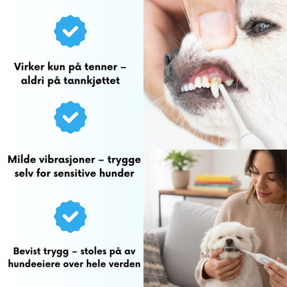 Freshsmile Kit - Trygg Tannpleie Hjemmefra