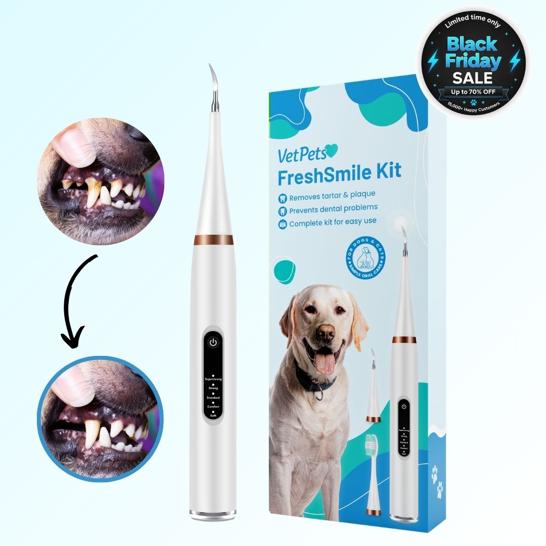 FreshSmile 3 in 1 Kit - Safe Tartar Remover