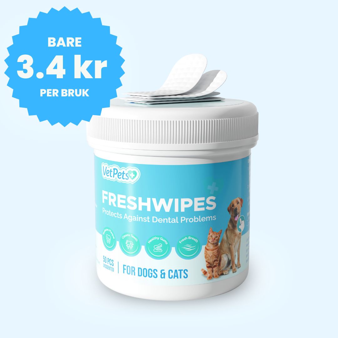 FreshWipe Kit – Beskytter mod tandproblemer