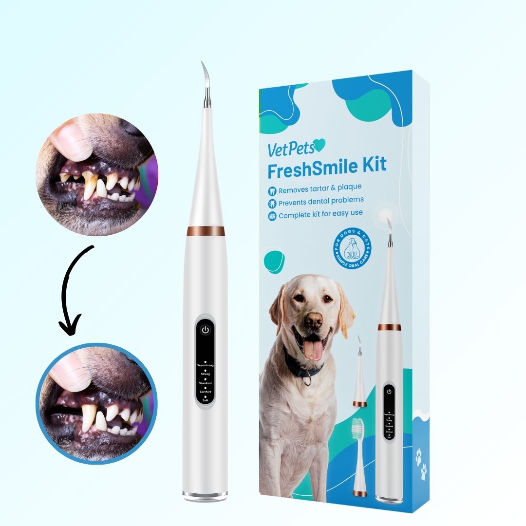 FreshSmile 3 in 1 Kit - Safe Tartar Remover