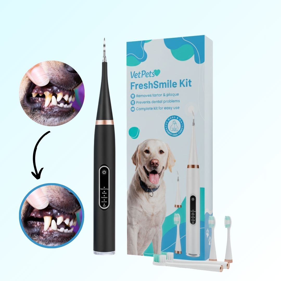お手入れ・トリミング用品 RarePet.co 3 in 1 Pet Teeth Cleaning Kit FreshSmile 3 in 1 Kit - Safe Tartar Remover – VetPets