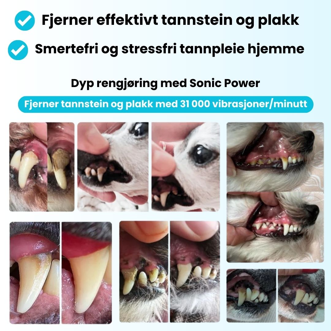 Freshsmile Kit - Trygg Tannpleie Hjemmefra