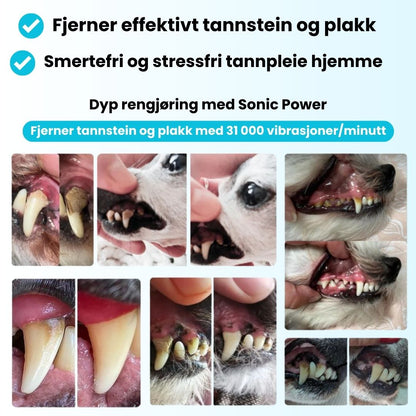 Freshsmile Kit - Trygg Tannpleie Hjemmefra