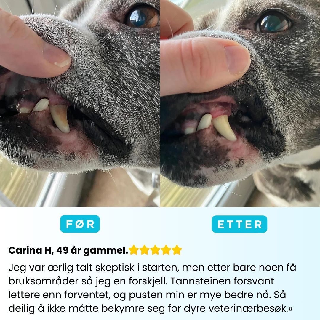 Freshsmile Kit - Trygg Tannpleie Hjemmefra