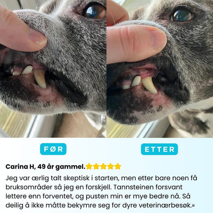Freshsmile Kit - Trygg Tannpleie Hjemmefra