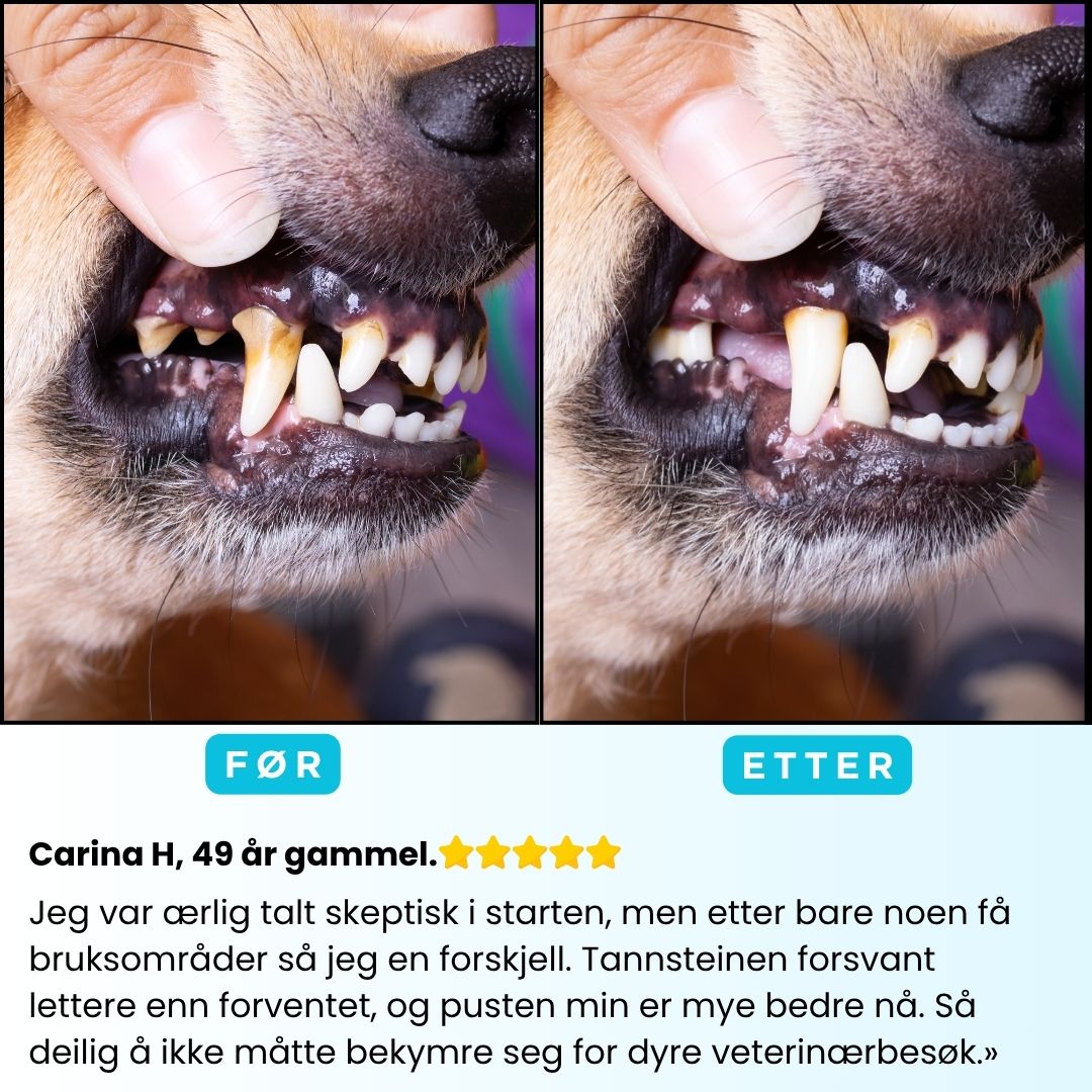 Freshsmile Kit - Trygg Tannpleie Hjemmefra