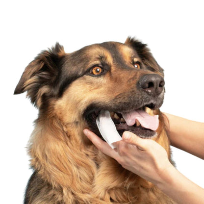 FreshWipes Kit – Suojaa hammassairauksilta