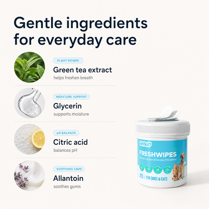 FreshWipes Kit – Protegge dalle malattie dentali