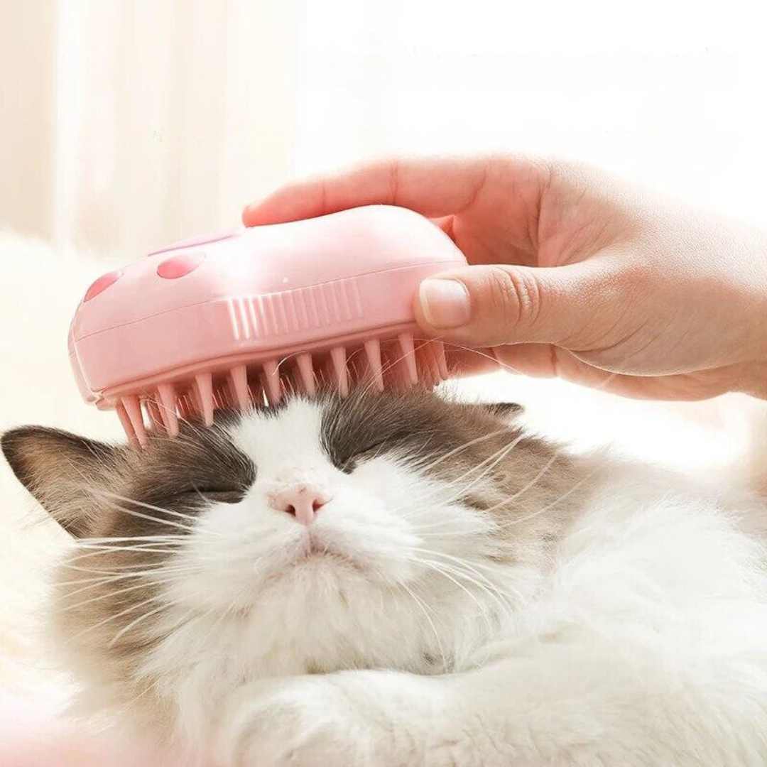 PetSpa Brush – Massaging Steam Brush