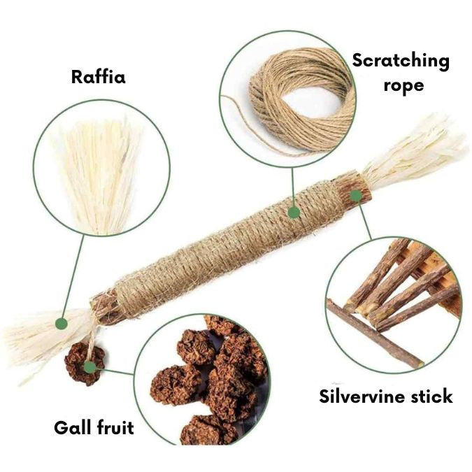 CatStick – Healthy cat teeth and fun play