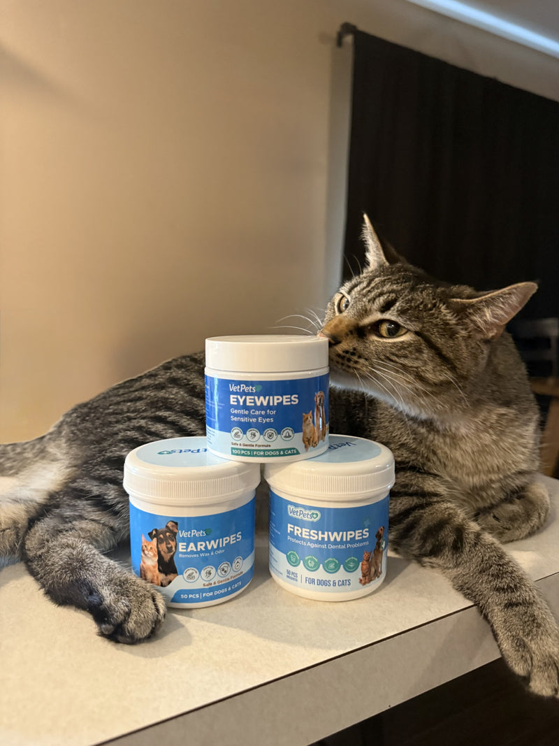 VetPets FreshWipes, EarWipes and EyeWipes tubs on a kitchen counter