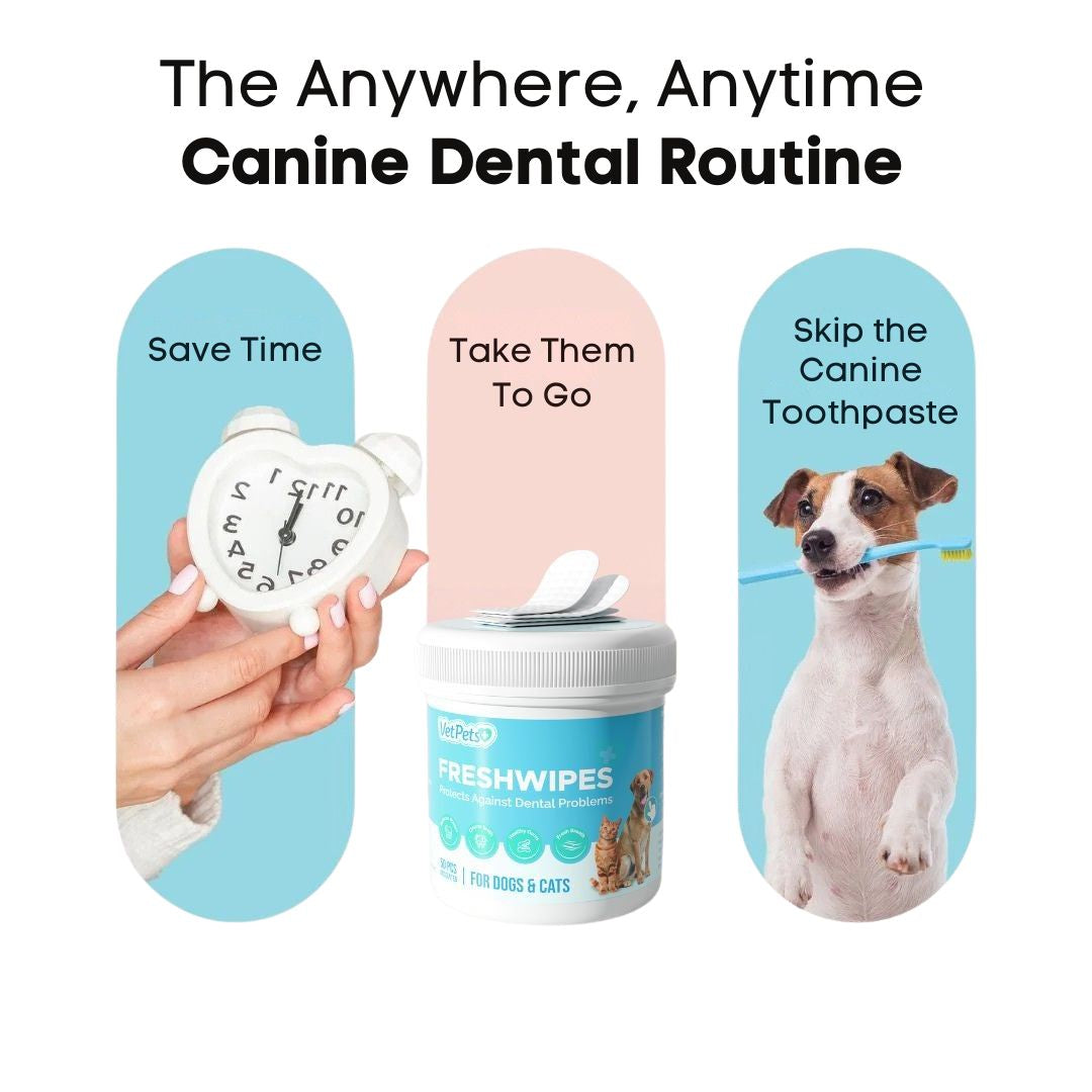 FreshWipes Plaque Relief Kit