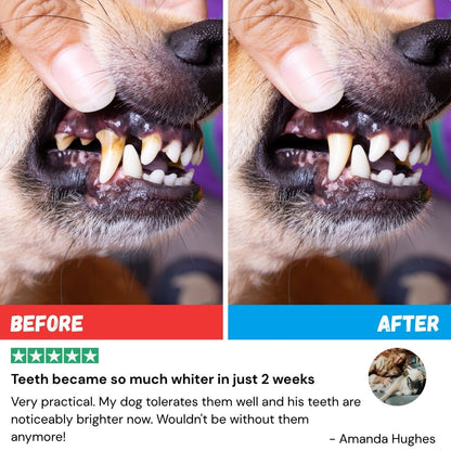 FreshWipes Kit – Protege contra las enfermedades dentales