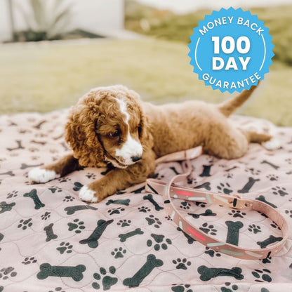 DryPad - Speed Up House Training