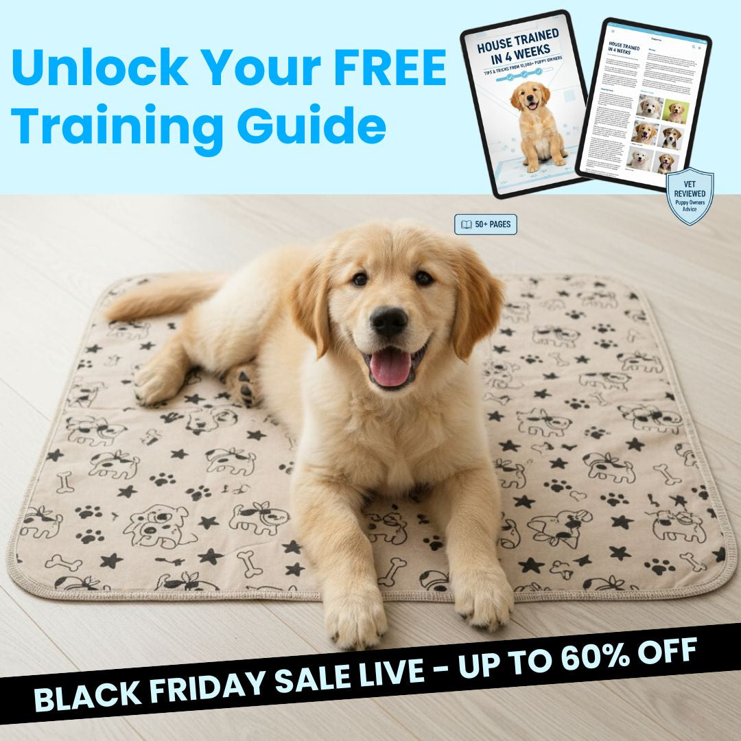 DryPad - Speed Up House Training