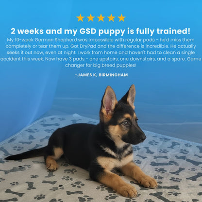 DryPad - Speed Up House Training