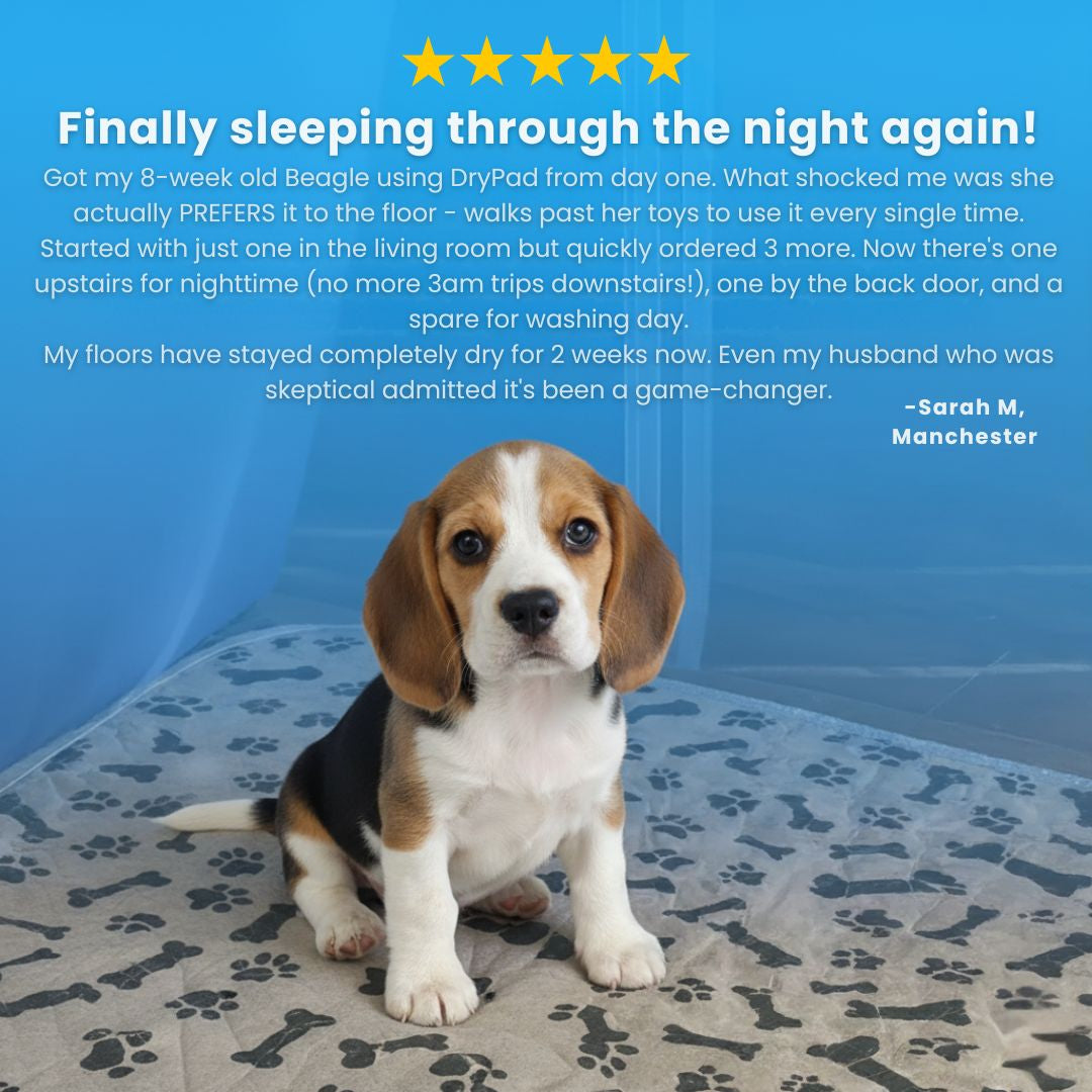 DryPad - Speed Up House Training