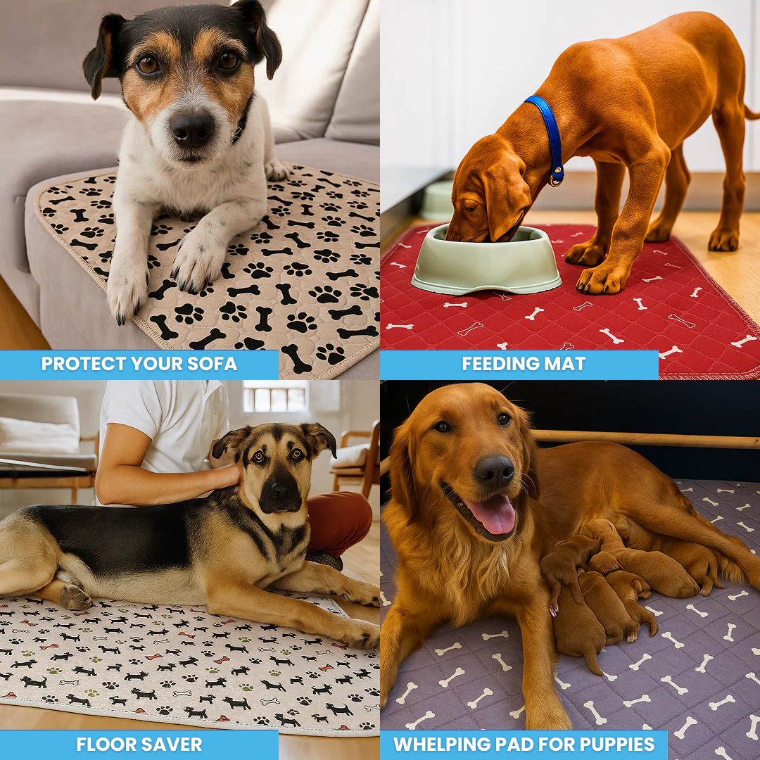 DryPad - Speed Up House Training