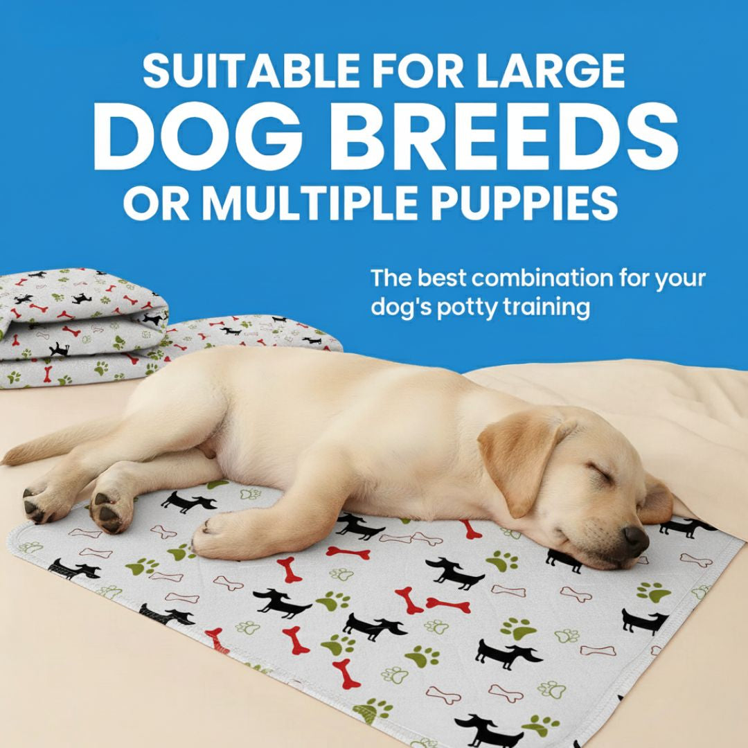 DryPad - Speed Up House Training