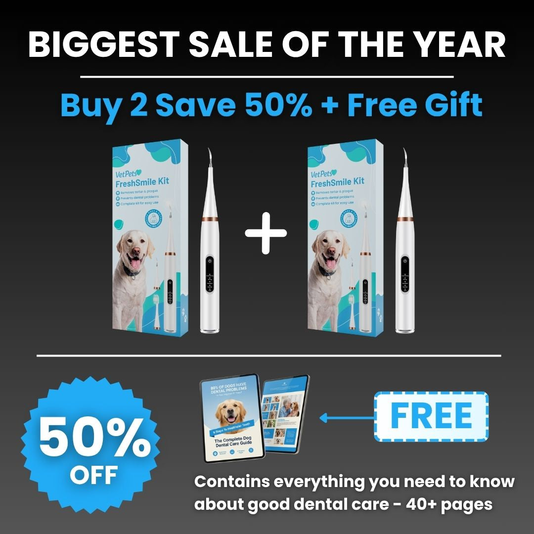 FreshSmile 3 in 1 Kit - Safe Tartar Remover