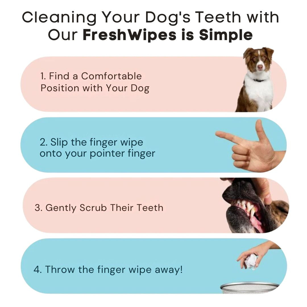 FreshWipes Plaque Relief Kit