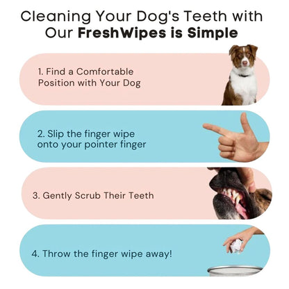 FreshWipes Kit – Protege contra las enfermedades dentales