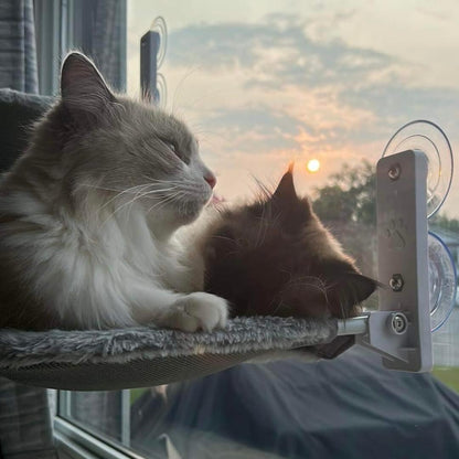 Cat Hammock – Relaxing Cat Paradise