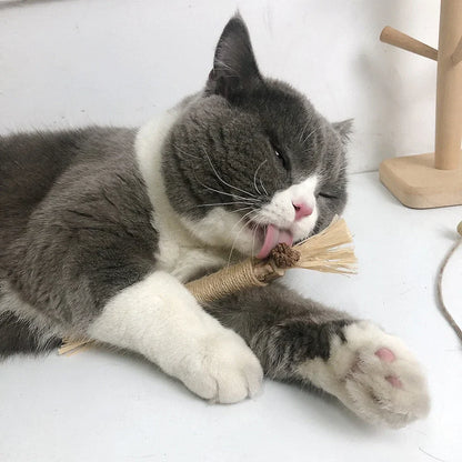 CatStick – Healthy cat teeth and fun play