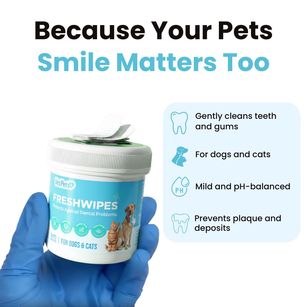 FreshWipes Plaque Relief Kit