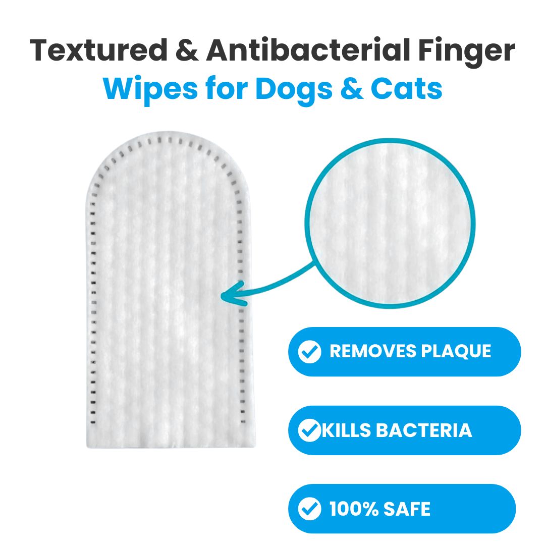 FreshWipes Plaque Relief Kit