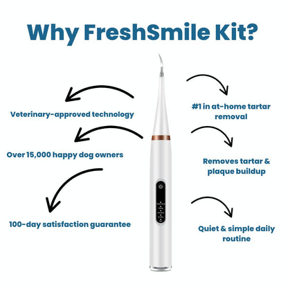 FreshSmile 3 in 1 Kit - Safe Tartar Remover